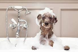 grooming